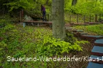 Stufenführen hinauf am Landschaftstherapeutischen Weg - der sogenannte Grottensteg