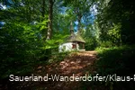 Blick auf die Friedenskapelle mitten im Wald, die von der Sonne angestrahlt wird