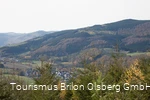 Aussicht vom Ginsterkopf auf Elleringhausen bei blauem Himmel