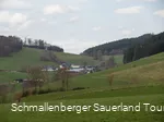 2445803
