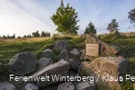 FerienweltWinterberg_2017_Altastenberg_Kahler Asten Lennequelle Heidelandschaft SommerHerbst (86)_(low)_Klaus-Peter Kappest.jpg