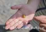 Kleine Naturentdecker unterwegs in Medebach