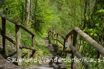 Ein schmaler Weg führt hinab über den Rothaarsteig