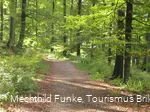 Auf dem Olsberger Kneippweg
