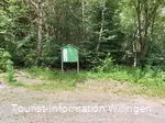 Original Wanderparkplatz Schwalefeld Am Treis Copyright Tourist-Information Willingen CC BY-SA.jpg
