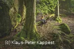 Mystischer Wald am Uplaender Besinnungsweg