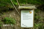Sabrinity_BWT25_293.jpg