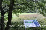 Infotafel 7 am Gewässerpfad Orke