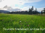 Durch Wiesen und Weiden im Gelängetal Medebach