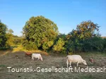 Medelon Landschaft