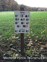 Infotafel