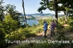 Diemelsteig