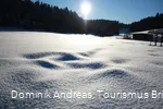Hilbringsetal