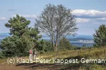 Wanderer in der Heidelandschaft