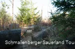 Kyrillpfad führt durch eine Landschaft von umgefallenen Bäumen