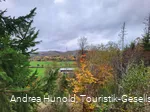 Ausblick vom Hasenkammerblick / Weddelberg