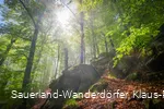 Hollenfelsen im Sonnenlicht