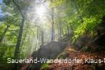 Hollenfelsen im Sonnenlicht