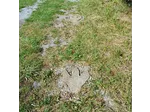 20240912_120111.jpg