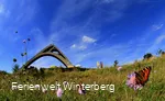 St.-Georg-Skisprungschanze bei blauem Himmel