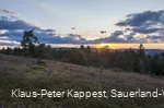 Heidelandschaft bei Sonnenuntergang 