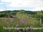 Medebacher Bergweg - Rundwanderung durch Medebach und seine Dörfer