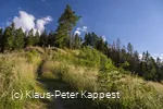 KPK1046487_Briloner Kammweg und Rothaarsteig_mittel.jpg