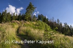 KPK1046487_Briloner Kammweg und Rothaarsteig_mittel.jpg