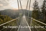 Skywalk Willingen im Gegenlicht