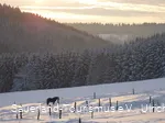 Sonnenuntergang