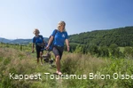 Auf dem Kneipp WanderWeg Olsberg