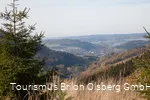 Sauerland-Wanderdörder; Der Ginsterkopf mit Blick auf die Gierskopp