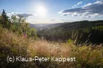 KPK1046548_mittel.jpg