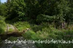 Weg im Schwarzbachtal