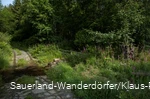 Weg im Schwarzbachtal