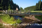 Ein Ranger steht auf einer Brücke im Schwarzbachtal