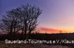 Sonnenaufgang an einem Wintermorgen über dem Olsberg