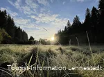 Met vorst bedekte grassen in het Schwarzbachtal tegen het licht