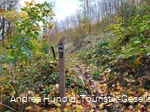 Wandern auf den Weddelbergrundwegen