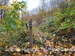 Wandern auf den Weddelbergrundwegen