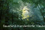 Mystischer Hollenfelsen im Wald bei Schmallenberg-Bödefeld