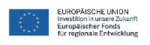 EU Logo