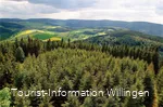 Blick vom Dommel