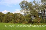 Wiesentäler am Gewässerpfad Orke