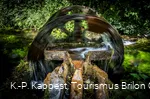 Wasserad Entenstall