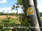 Wegezeichen Sauerland-Höhenflug bei Altastenberg