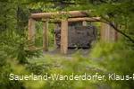 Blick durch eine grüne Blätterwand auf den großen Stein