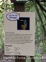 Infos für Kinder