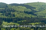 Blick auf die Himmelssäulen aus der Ferne