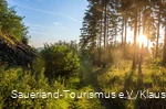 Schmaler Wiesenpfad im Sommerlicht